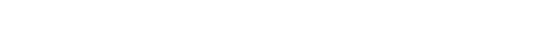 Birstonas Mineral Water logo